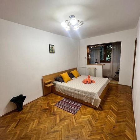 אראד Miha Modern And Central Apartament Malul Muresului מראה חיצוני תמונה