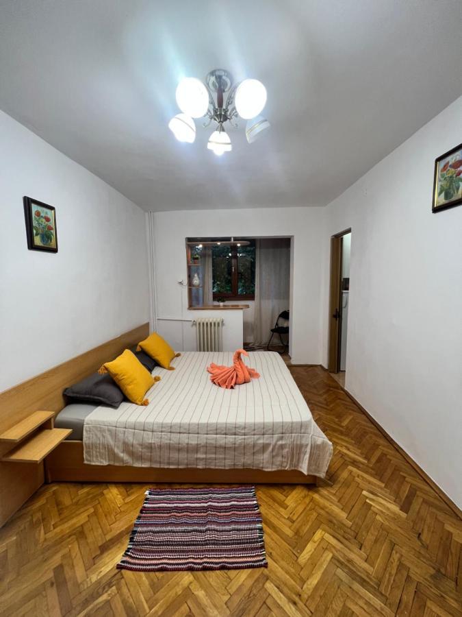 אראד Miha Modern And Central Apartament Malul Muresului מראה חיצוני תמונה