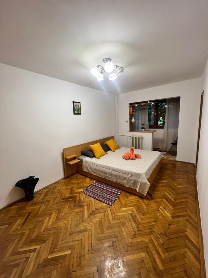 אראד Miha Modern And Central Apartament Malul Muresului מראה חיצוני תמונה