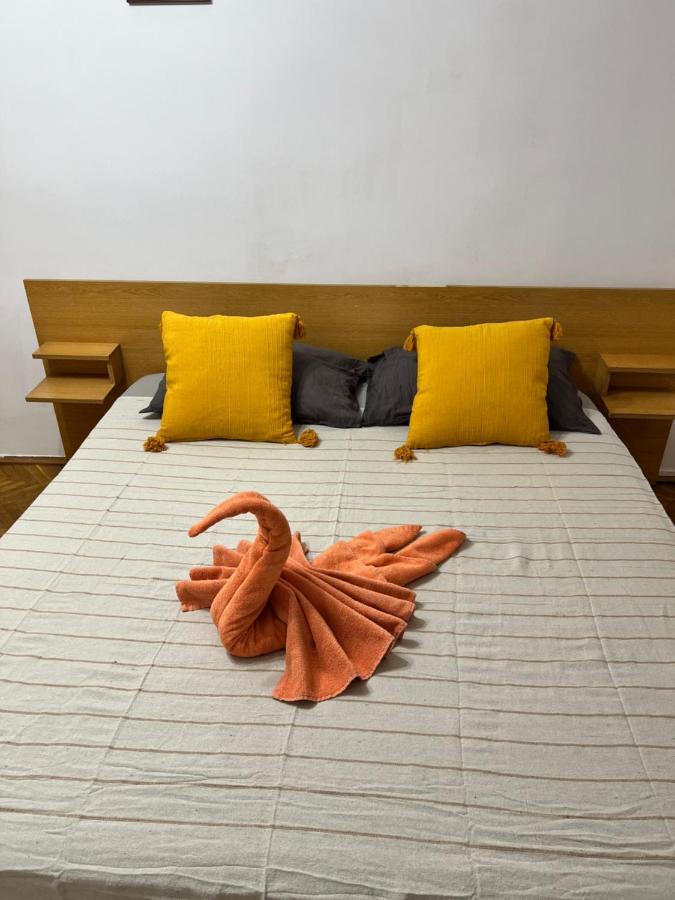 אראד Miha Modern And Central Apartament Malul Muresului מראה חיצוני תמונה