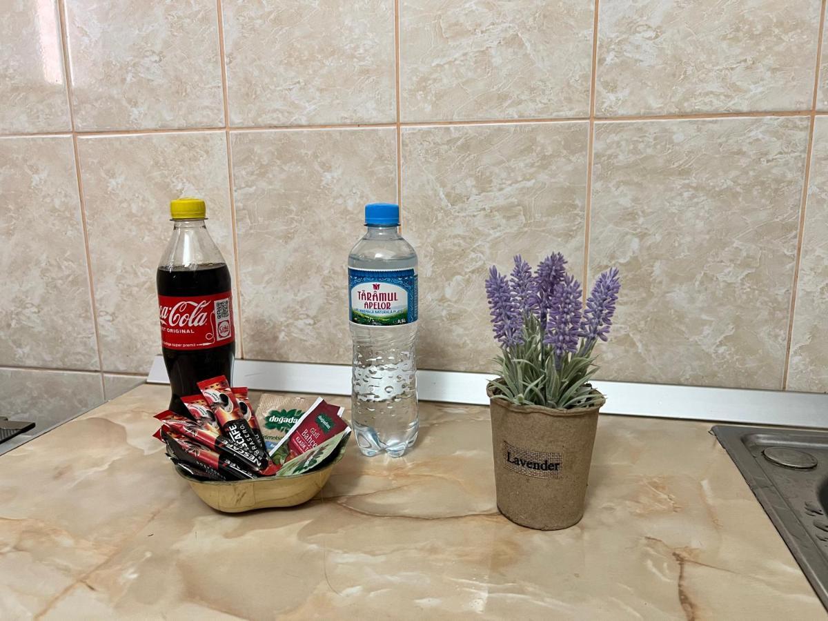 אראד Miha Modern And Central Apartament Malul Muresului מראה חיצוני תמונה
