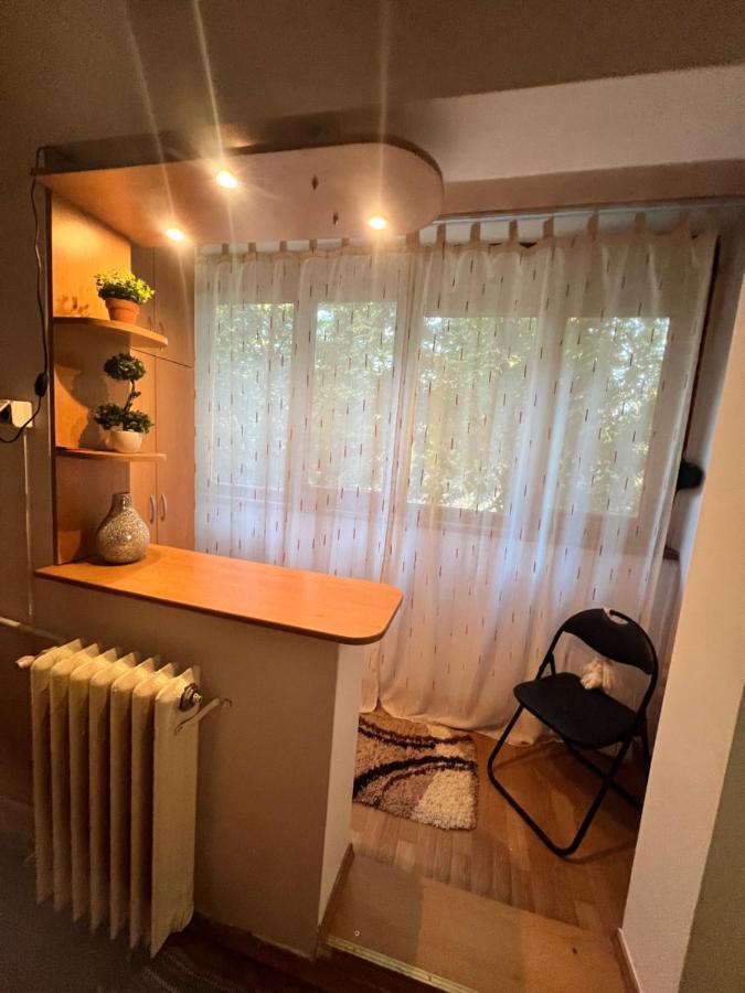 אראד Miha Modern And Central Apartament Malul Muresului מראה חיצוני תמונה