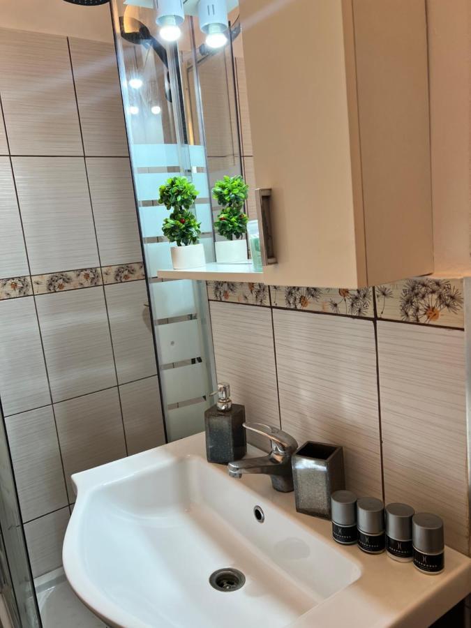 אראד Miha Modern And Central Apartament Malul Muresului מראה חיצוני תמונה