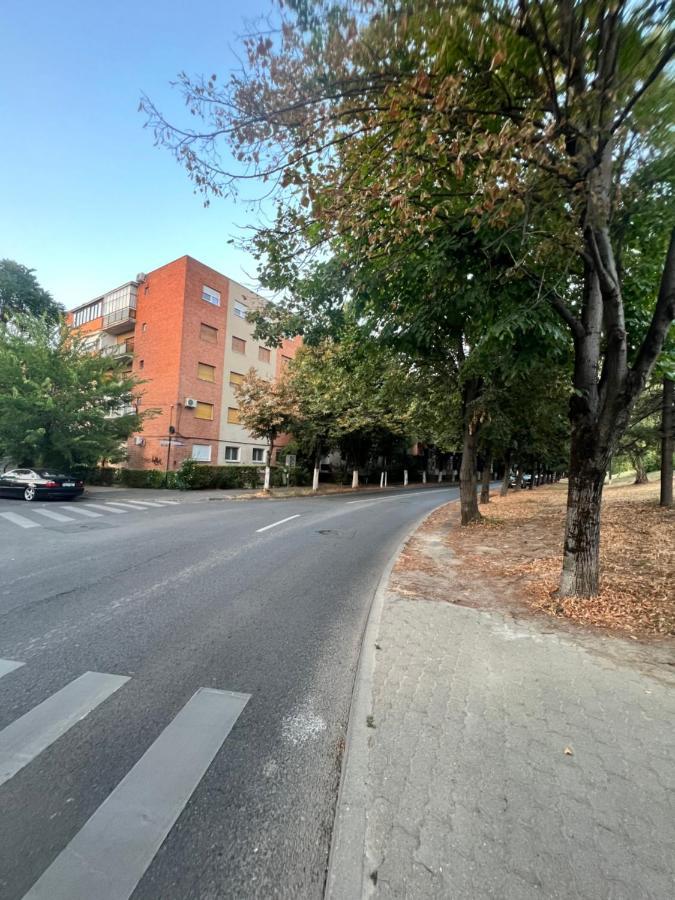 אראד Miha Modern And Central Apartament Malul Muresului מראה חיצוני תמונה