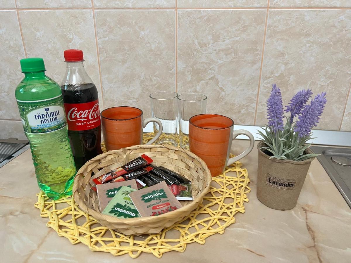 אראד Miha Modern And Central Apartament Malul Muresului מראה חיצוני תמונה