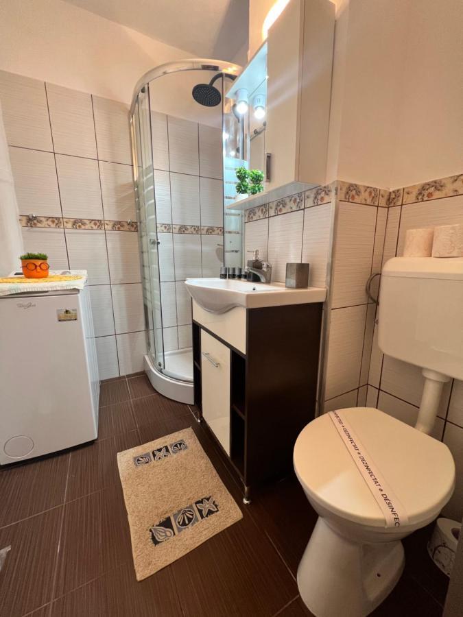 אראד Miha Modern And Central Apartament Malul Muresului מראה חיצוני תמונה