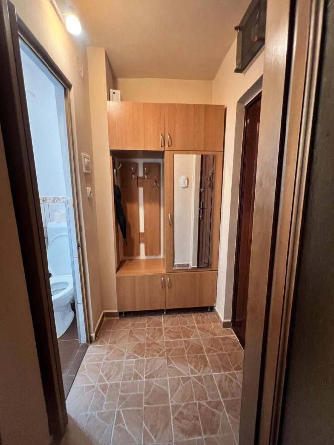 אראד Miha Modern And Central Apartament Malul Muresului מראה חיצוני תמונה